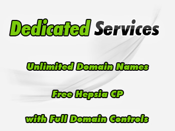 Bargain dedicated server hosting service